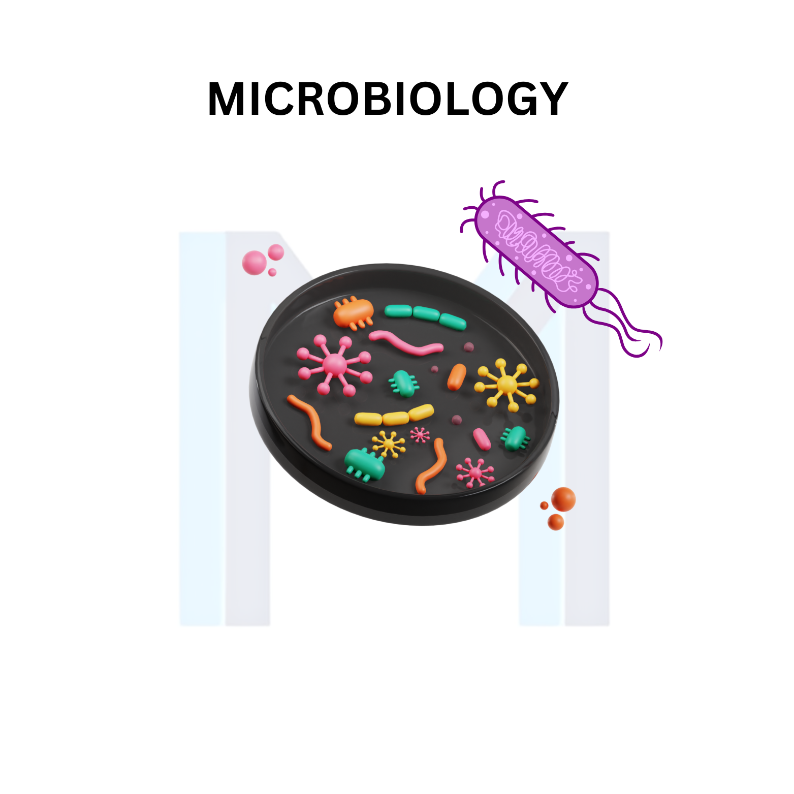 Microbiology and Infectious Diseases