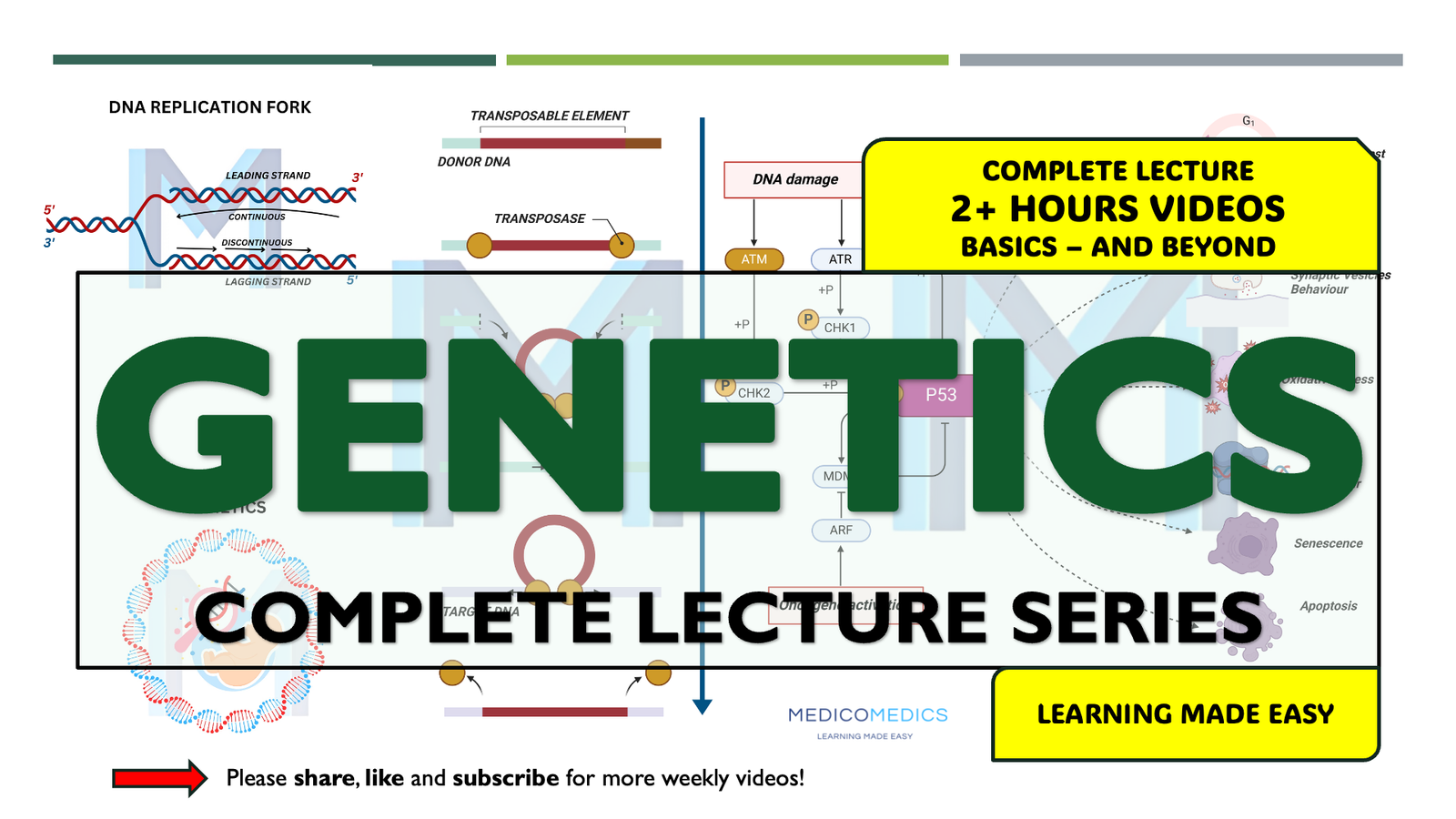 Genetics: Complete Lecture Series