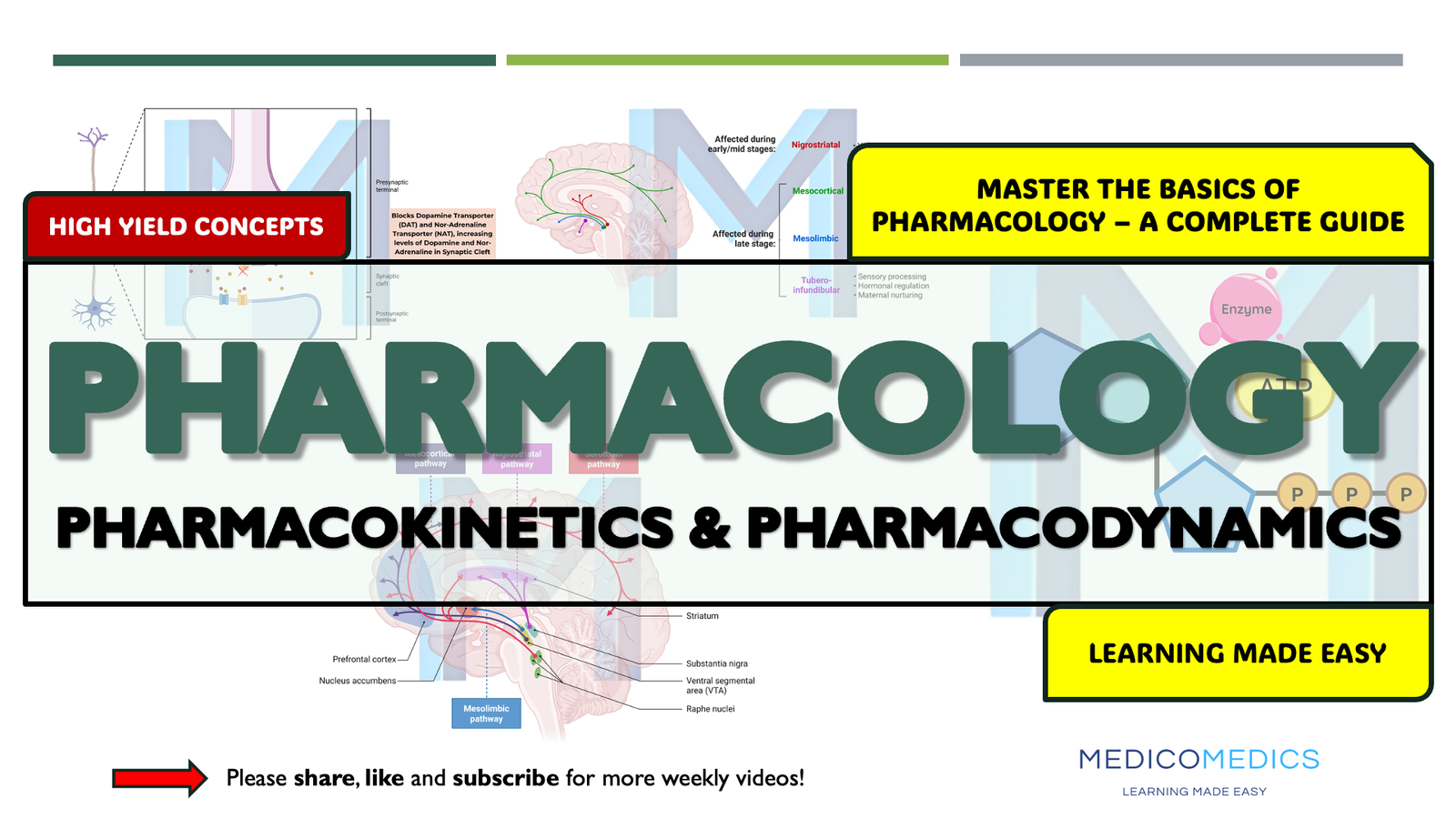 Pharmacology: An Introduction